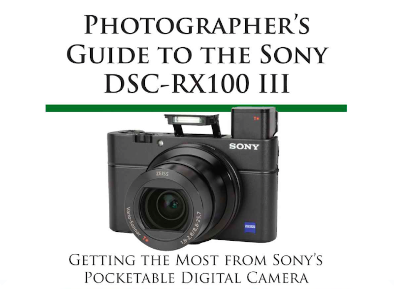 Sony dsc rx100 instruction manual